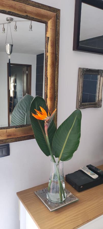 Casa Sandra En Las Norias Todoque Con Wi-Fi ロス・ジャノス・デ・アリダネ エクステリア 写真